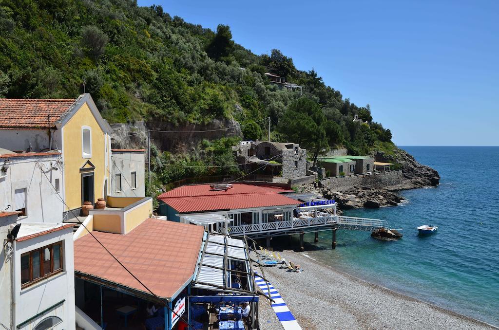 Mimi Sul Mare Apartamento Massa Lubrense Exterior foto